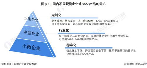 2021年中國(guó)SaaS行業(yè)經(jīng)營(yíng)策略演變分析 客戶成功理念引領(lǐng)產(chǎn)品突圍